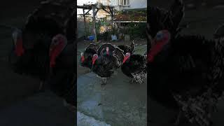 2021 Yeni Yıl Mesajı