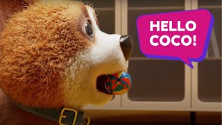 Double The Fun With Coco