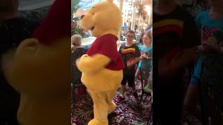 Disney Characters Winnie The Pooh Parade