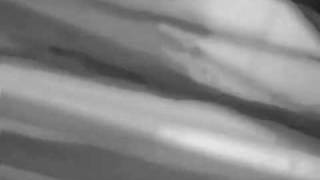Watch Bobby Darin My Funny Valentine video