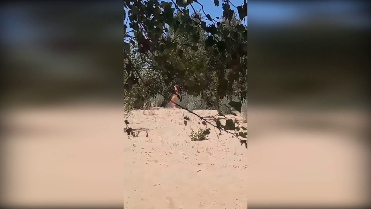 Девки Дрочат На Пляже Видео