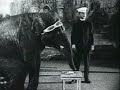 vaudeville