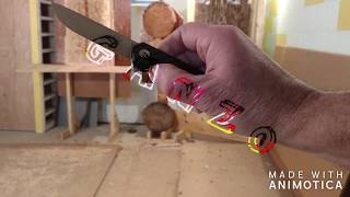 Ganzo Firebird Fh11 Knife D2 Blade Target Throwing Demonstration