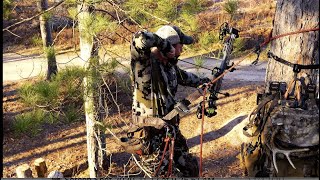 Trophyline Tree Saddle Demo with the Initial Ascent Pack