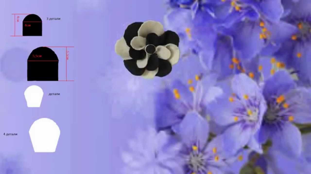 Как размножать розы семена Как размножать розы семена