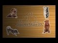 Evento Adopciones Peludas GDL
