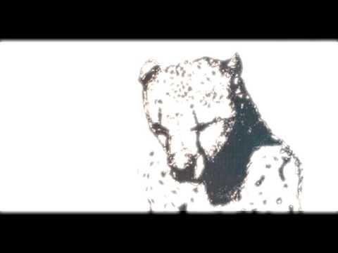 The Brute Choir Video