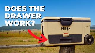 Ninja Frostvault Cooler Review Gimmick Or Game-Changer?