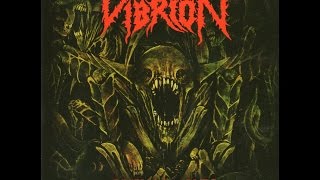 Watch Vibrion Full Of Sickness video
