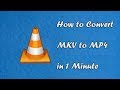 How to Convert MKV to MP4 in 1 Minute (WORKING 2020)