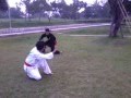 Perisai Diri Kampoeng Silat Jampang