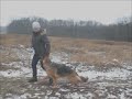 & GRANT (1 год 1 