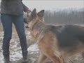 мес. 13 дней) на прогулке 