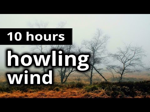 When It Rains, It Pours Video