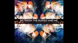 Watch Between The Buried  Me Augment Of Rebirth video