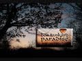 ben tankard - paradise