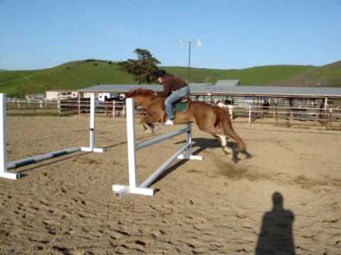 Kai and Super Pony Jumping Grids!