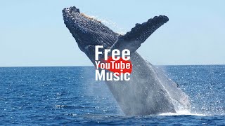 Blue Whale - Quincas Moreira (Alternative & Punk | Dark) - Free YouTube Music