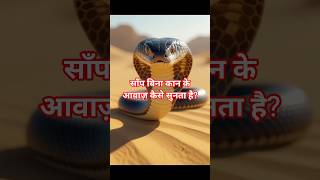बन कन क सनन वल जव