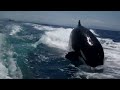 encounter