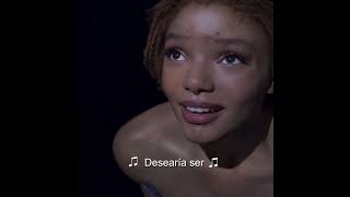 Ariel Siempre Seguirá A Su Corazón.