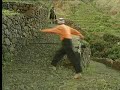 O Escândalo da Perda da Virgindade