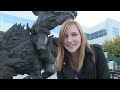 Blizzard press tour