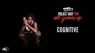 Watch Kodak Black Cognitive video