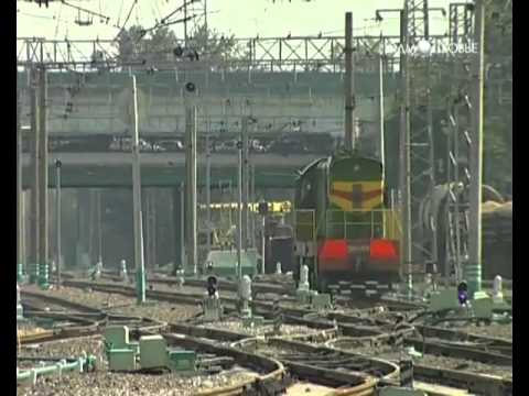 Матрешки с фото на заказ спб