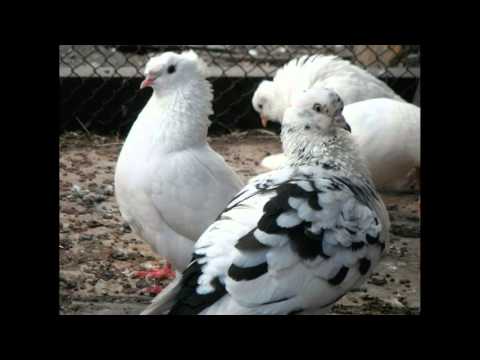 Скачать грустные рэп минуса Скачать грустные рэп минуса
