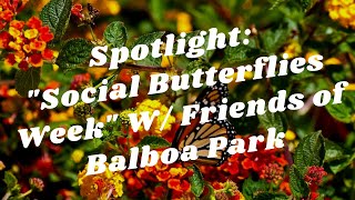 Balboa Park to You - Spotlight: "Social Butterflies Week" W/ Friends of Balboa Park