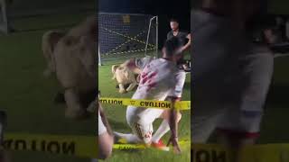 vcrcSnPm-wo Video Image
