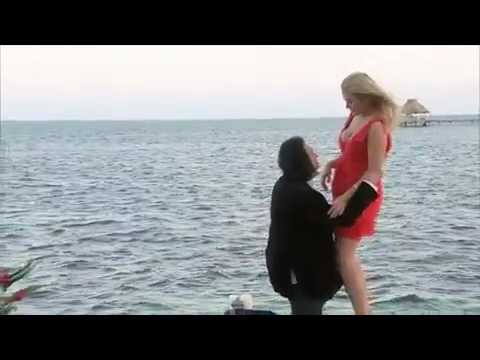 Gene Simmons Proposes To Shannon Tweed Gene Simmons Proposes To Shannon 