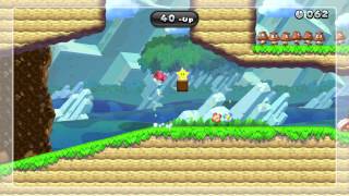 Star Connection Gold Medal - New Super Mario Bros. U (77-Up)