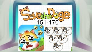 Save The Doge, 151-170 Level. Головоломка И Логическая Игра.