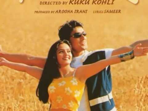 I Am In Love Full Song (HD) With Lyrics - Yeh Dil Aashiqana