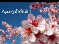 "ΑΜΥΓΔΑΛΙΑ " . Η ΒΟΛΛΥ ΖΑΠΩΝΗ ΑΠΑΓΓΕ... "ΑΜΥΓΔΑΛΙΑ " . Η ΒΟΛΛΥ ΖΑΠΩΝΗ ΑΠΑΓΓΕ...