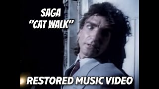 Watch Saga Cat Walk video
