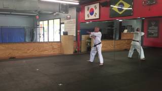 Traditional Taekwondo Form Palgwe Chil Jang Mountain