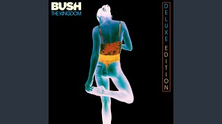 Watch Bush Live Another Day video