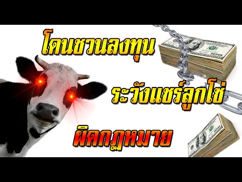 หาเงินออนไลน์ หลอกลงทุน แชร์ลูกโซ่ ดูยังไง วิธีสังเกตุ