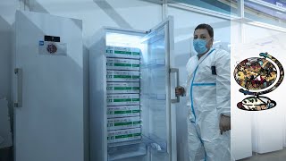 Video: Serbia distributes China's Sinopharm COVID Vaccine - Journeyman