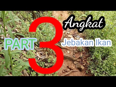 ANGKAT JEBAKAN IKAN, PART 3 TERNYATA HASILNYA INI