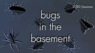 Bugs In The Basement - Achaea Janata aka The Croton Caterpillar