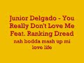 Junior Delgado - You Really Don't Love Me