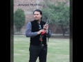 Firing of 222 by Anwaar Hashmi