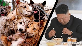 Kim Jong-Un Confiscated ALL Pet Dogs for MEAT in Pyongyang, North Korea
