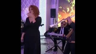 Zahid Sabirabadli 054