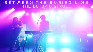 Watch Between The Buried  Me The Ectopic Stroll video