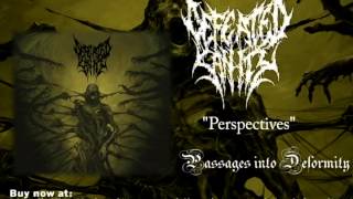 Watch Defeated Sanity Perspectives video
